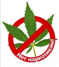 Памятка по борьбе с дикорастущей коноплей. Памятка по борьбе с дикорастущей коноплей.